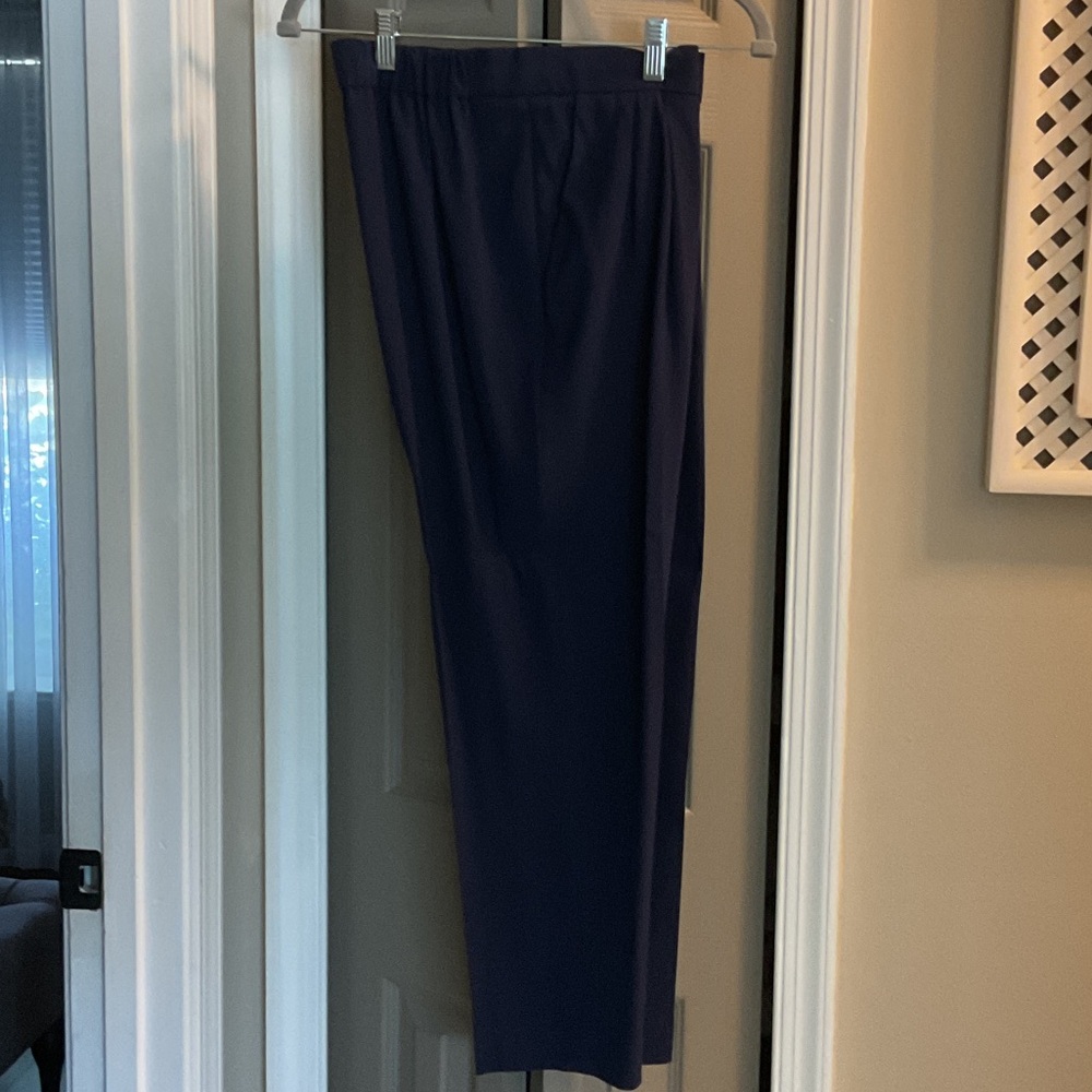 Aritzia Conan babaton pants